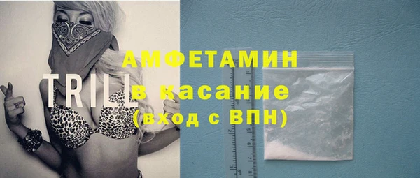 стаф Медногорск