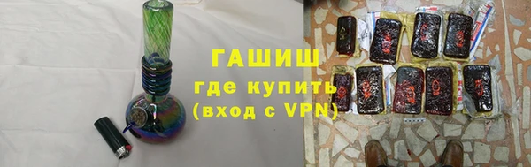 стаф Щигры