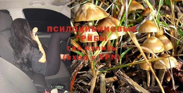 кокаин Медвежьегорск