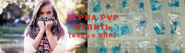 стаф Медногорск
